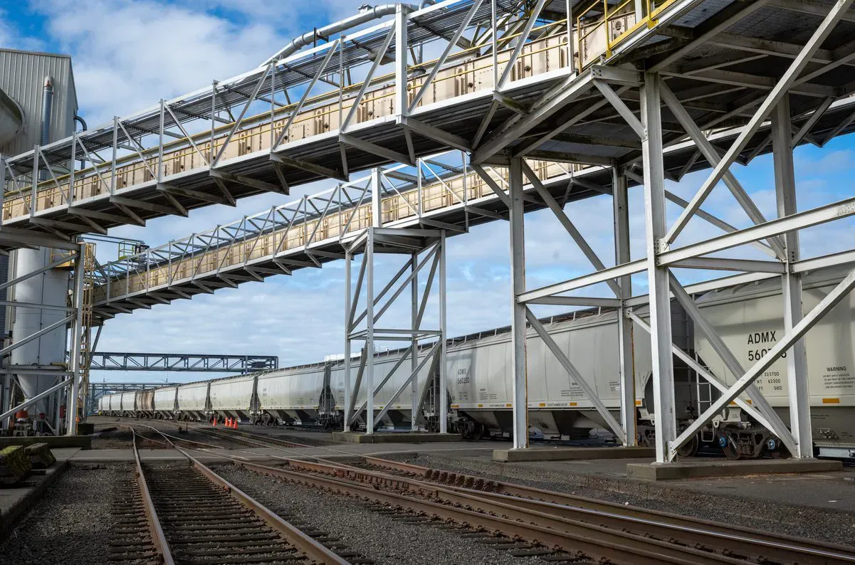Soybean meal is shipped by rail from the upper Midwest to the Port of Grays Harbor.